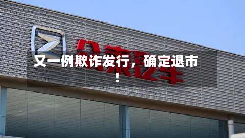 又一例欺诈发行	，确定退市！-第2张图片