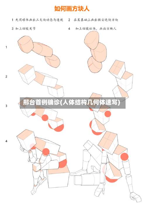 邢台首例确诊(人体结构几何体速写)