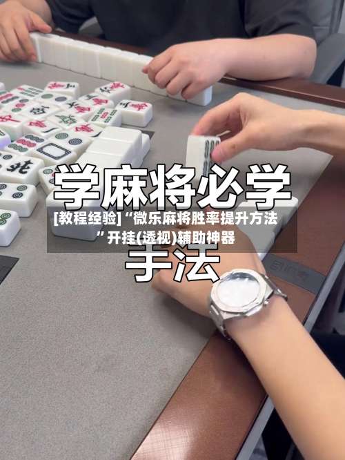 [教程经验]“微乐麻将胜率提升方法”开挂(透视)辅助神器-第2张图片