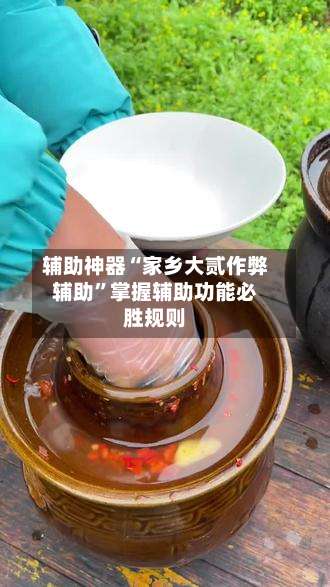 辅助神器“家乡大贰作弊辅助”掌握辅助功能必胜规则-第2张图片