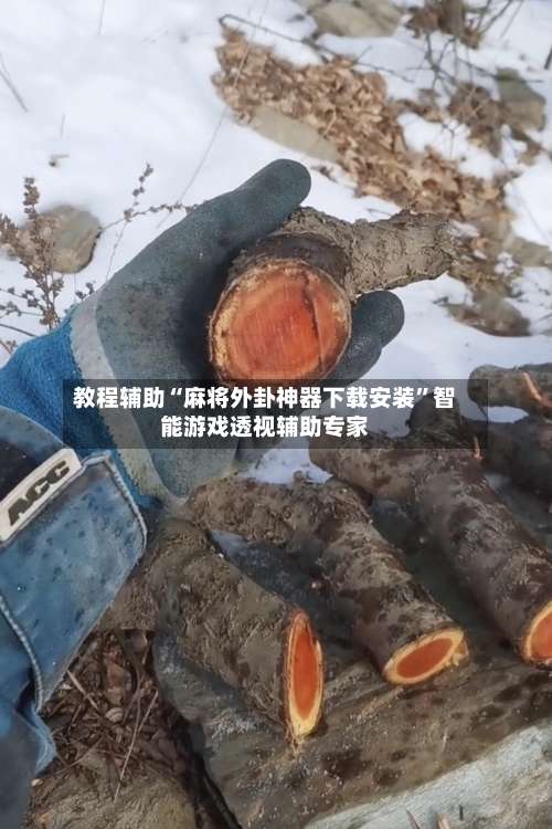 教程辅助“麻将外卦神器下载安装”智能游戏透视辅助专家