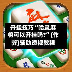 开挂技巧“哈灵麻将可以开挂吗?”(作弊)辅助透视教程-第3张图片