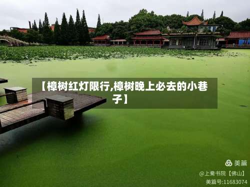 【樟树红灯限行,樟树晚上必去的小巷子】
