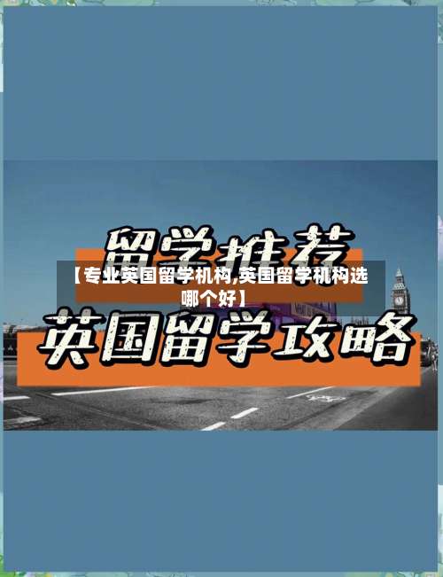 【专业英国留学机构,英国留学机构选哪个好】-第2张图片