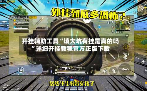 开挂辅助工具“填大坑有挂是真的吗”详细开挂教程官方正版下载-第3张图片