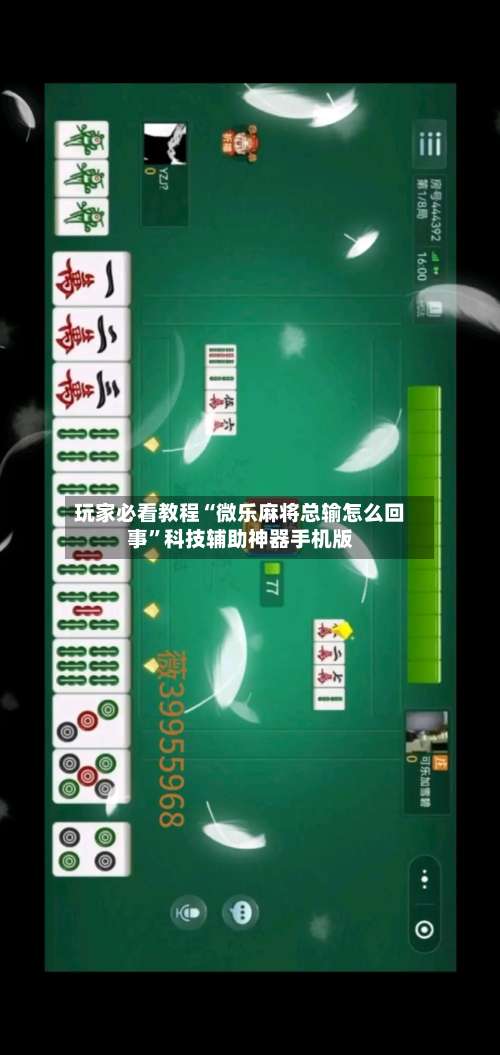 玩家必看教程“微乐麻将总输怎么回事”科技辅助神器手机版-第2张图片