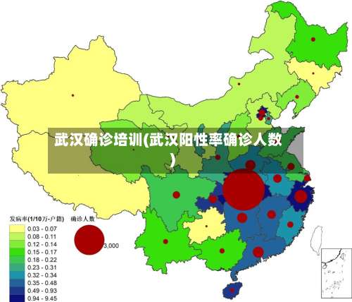 武汉确诊培训(武汉阳性率确诊人数)-第2张图片