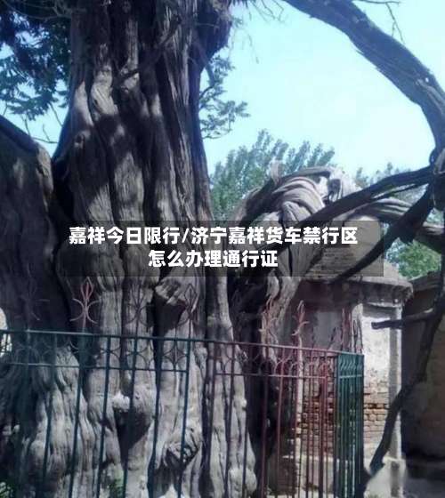 嘉祥今日限行/济宁嘉祥货车禁行区怎么办理通行证