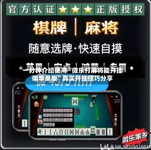 一分钟介绍使用“微乐打麻将能开挂嘛苹果版”真实开挂技巧分享-第2张图片