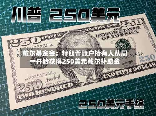 戴尔基金会：特朗普账户持有人从周一开始获得250美元戴尔补助金-第2张图片