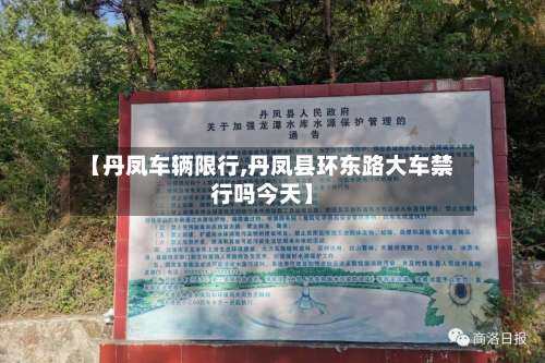 【丹凤车辆限行,丹凤县环东路大车禁行吗今天】-第2张图片