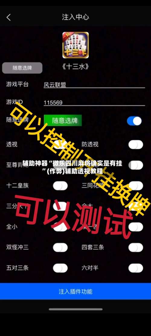 辅助神器“微乐四川麻将确实是有挂”(作弊)辅助透视教程-第2张图片