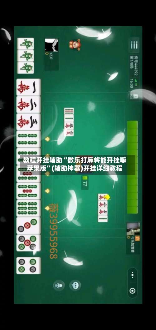 教程开挂辅助“微乐打麻将能开挂嘛苹果版”(辅助神器)开挂详细教程-第2张图片