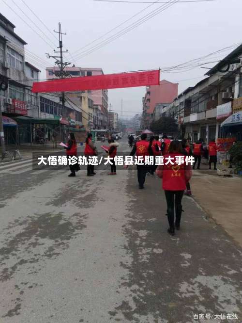 大悟确诊轨迹/大悟县近期重大事件-第3张图片