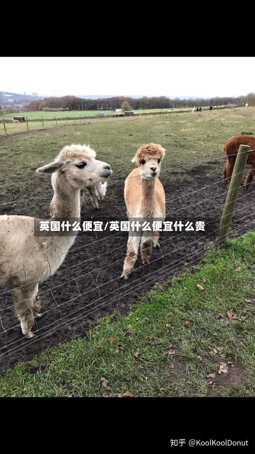 英国什么便宜/英国什么便宜什么贵-第2张图片