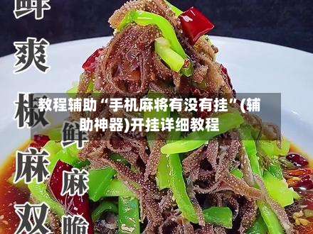 教程辅助“手机麻将有没有挂”(辅助神器)开挂详细教程