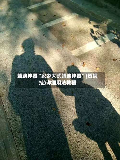 辅助神器“家乡大贰辅助神器”(透视挂)详细用法教程-第3张图片