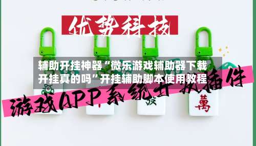 辅助开挂神器“微乐游戏辅助器下载开挂真的吗	”开挂辅助脚本使用教程-第2张图片