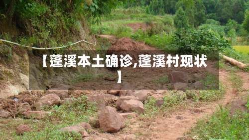【蓬溪本土确诊,蓬溪村现状】-第2张图片