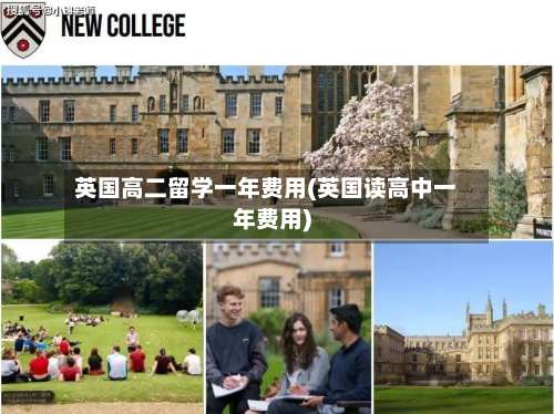 英国高二留学一年费用(英国读高中一年费用)-第2张图片