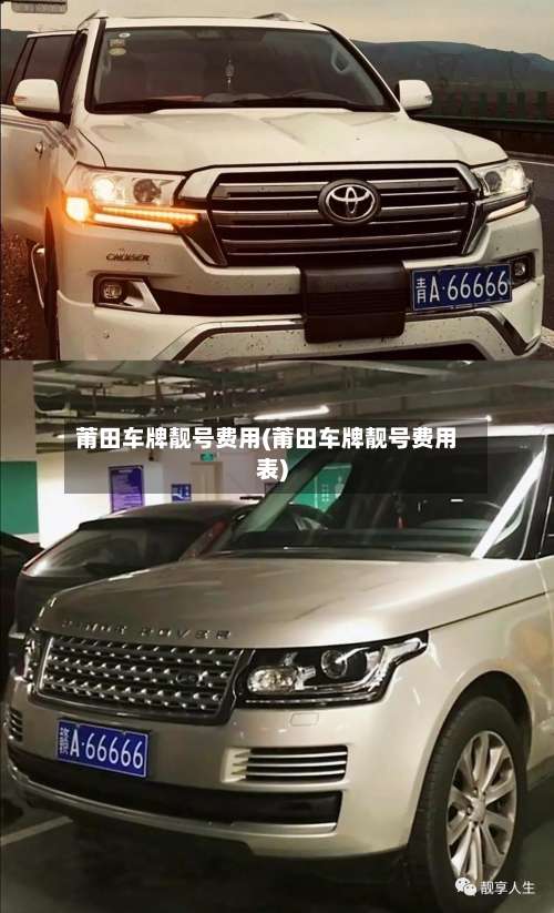莆田车牌靓号费用(莆田车牌靓号费用表)