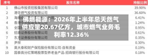 佛燃能源：2026年上半年总天然气供应量20.67亿方，城市燃气业务毛利率12.36%-第3张图片