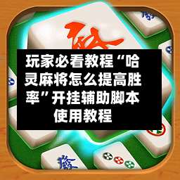 玩家必看教程“哈灵麻将怎么提高胜率”开挂辅助脚本使用教程-第2张图片