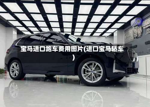 宝马进口跑车费用图片(进口宝马轿车)