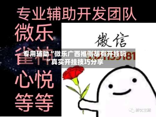 专用辅助“微乐广西推倒胡有开挂吗”真实开挂技巧分享-第2张图片