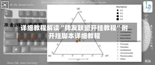 详细教程解读“牌友联盟开挂教程	”附开挂脚本详细教程-第2张图片