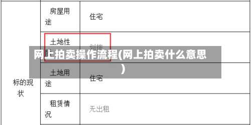 网上拍卖操作流程(网上拍卖什么意思)