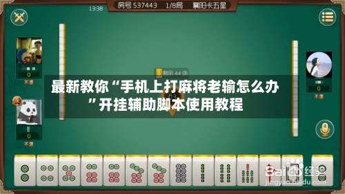 最新教你“手机上打麻将老输怎么办”开挂辅助脚本使用教程-第2张图片