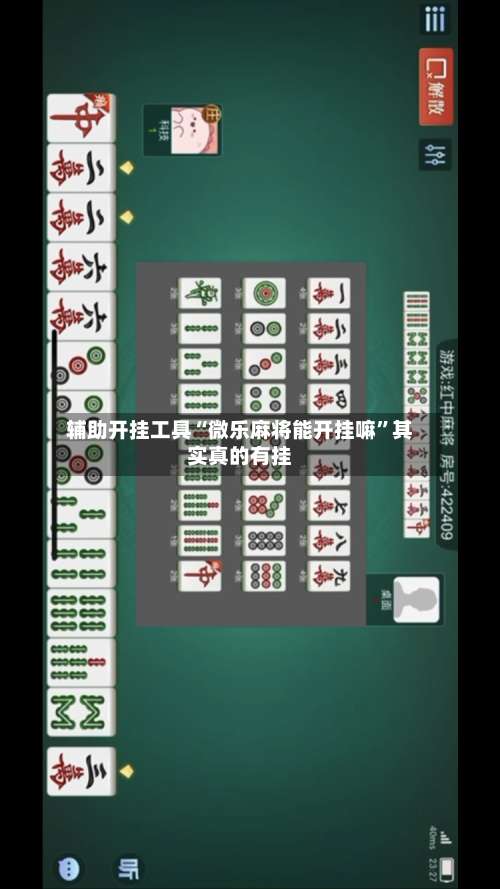 辅助开挂工具“微乐麻将能开挂嘛	”其实真的有挂-第2张图片