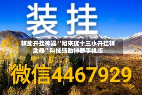 辅助开挂神器“闲来玩十三水开挂辅助器”科技辅助神器手机版-第2张图片