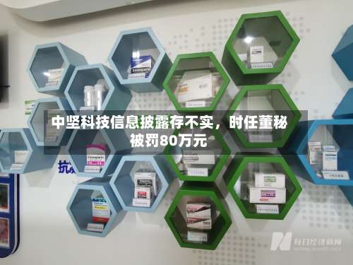 中坚科技信息披露存不实，时任董秘被罚80万元