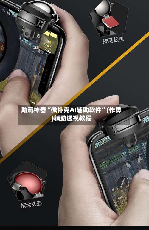 助赢神器“微扑克AI辅助软件”(作弊)辅助透视教程-第2张图片