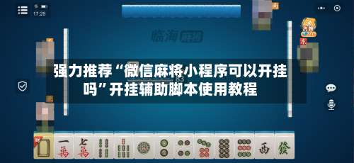 强力推荐“微信麻将小程序可以开挂吗”开挂辅助脚本使用教程-第3张图片