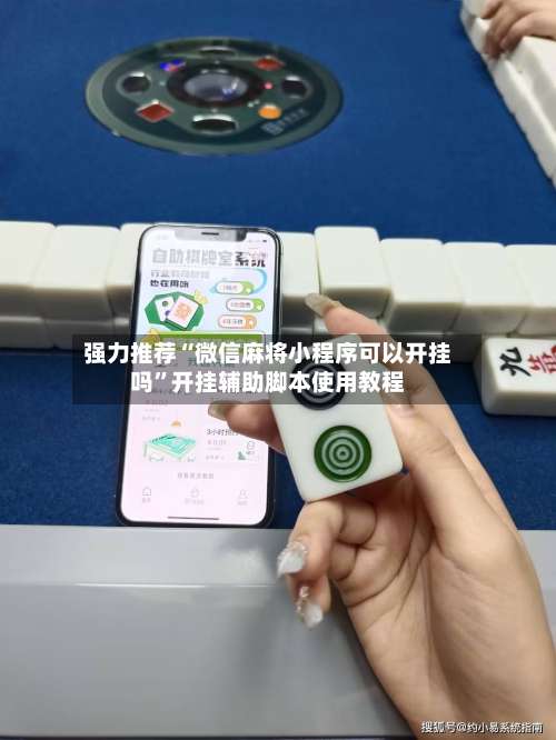 强力推荐“微信麻将小程序可以开挂吗	”开挂辅助脚本使用教程-第2张图片