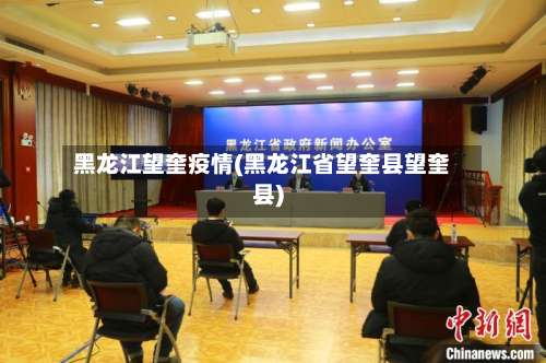 黑龙江望奎疫情(黑龙江省望奎县望奎县)